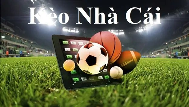 Phân tích tỷ lệ cá cược kèo nhà cái 8XBet cho các trận bóng đỉnh cao