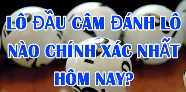 Đầu câm thì nên đánh những con gì?